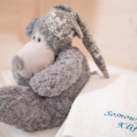 펜션 Sosnowy Kliff 니에초르체